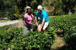 4f40d3ef 84ab 4224 a72c 26967ed5fa6c