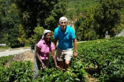 5c87e7e8 ee28 4c08 8766 af42ee5e3e1b