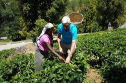 85f1dbea bc8d 4759 8075 ac13ee8a49be