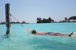 e6538942 d349 4c2e a8f8 57400a3b5d81